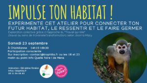 Impulse ton habitat ! Sam. 23 sept. 2023. Atelier de Travail qui relie (« travail » au sens de traversée / transformation) selon Joanna Macy. Géraldine Siméon - biophilia.fr